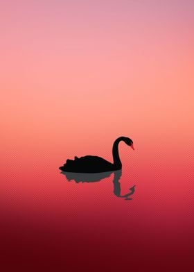 Swan At The Sunset