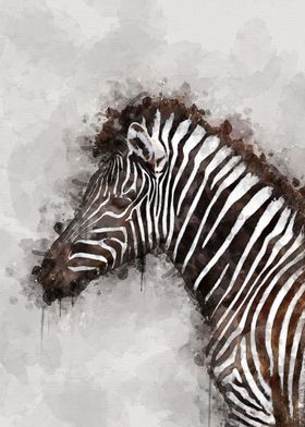 zebra watercolor 