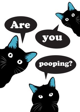Black Cat Are You Pooping