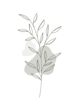 Little Plant Minimalist