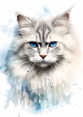 Watercolor Ragdoll Cat