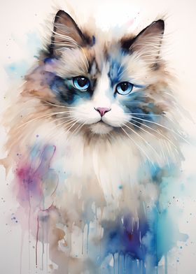 Watercolor Ragdoll Cat