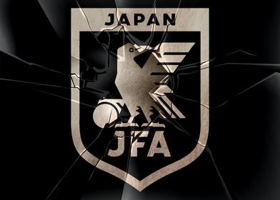 Japan national football te