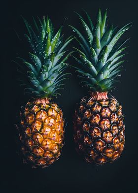 Fresh Pineapple Tropics