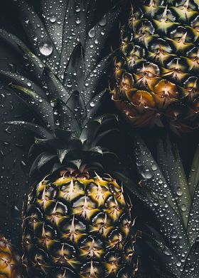 Fresh Pineapple Tropics