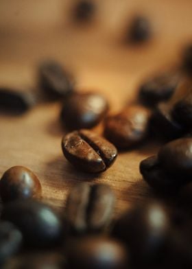 Coffee Bean Closeup