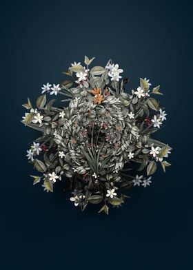 Mossel Bay Tritonia Wreath
