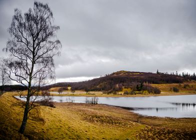 Scotland Landscape