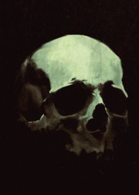 Skull Study