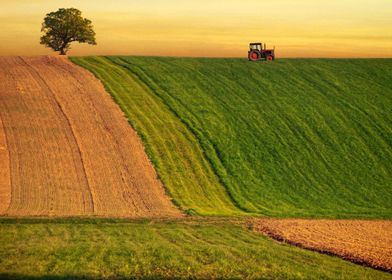 Agricultural Fields