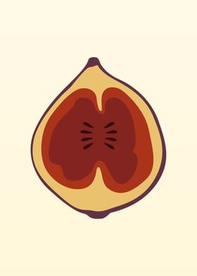 Fig Fruit 