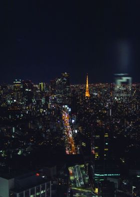 Lost in Tokyo Nights