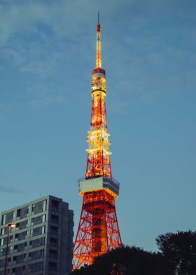 Nights at the Tokyo Tower