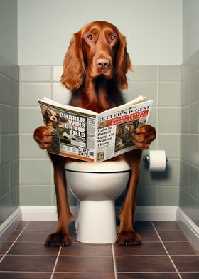 Irish Setter on the Toilet