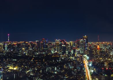 Cinematic Tokyo Skyline