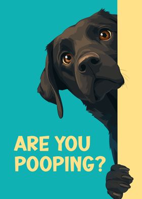 Labrador Are you pooping