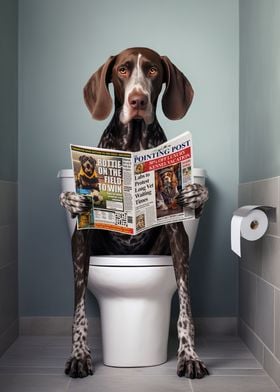 German Pointer on Toilet