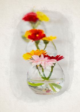 Aligned flowers on table 