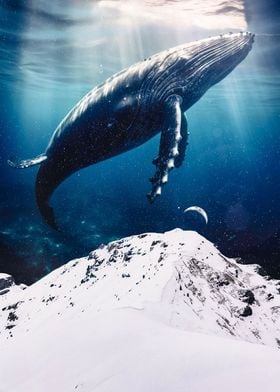 Giant Mountain Blue Whale
