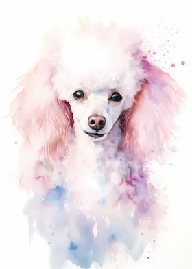 Poodle Dog in Watercolor