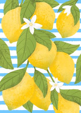 Positano lemons