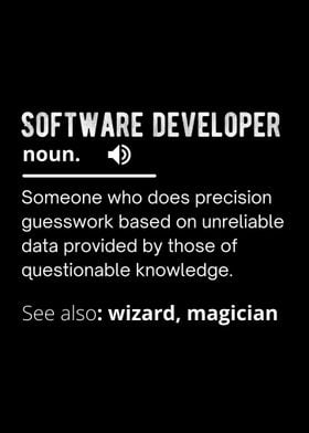 Software developer 