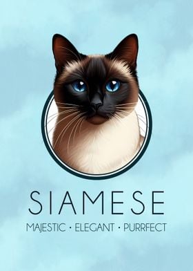 Siamese Majesty