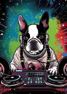 DJ Boston Terriers