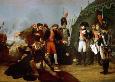 Napoleon accepts surrender