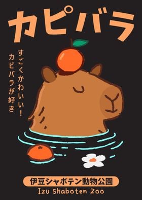 Capybara Japanese Onsen