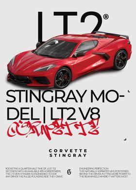 The New Stingray