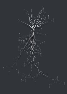 neuro link veins