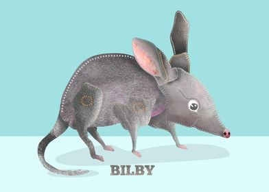 Bilby Australian Animal