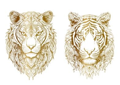 Tiger Head Sketches