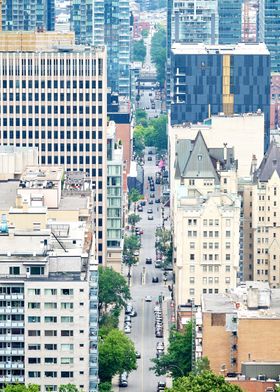 Montreal City BirdEye View