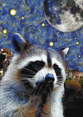 raccoon pray in the night