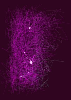 neuro link system Nervous