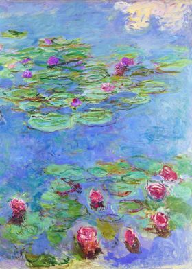 Water Lilies 