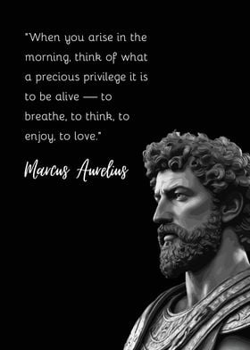 Marcus Aurelius Quote