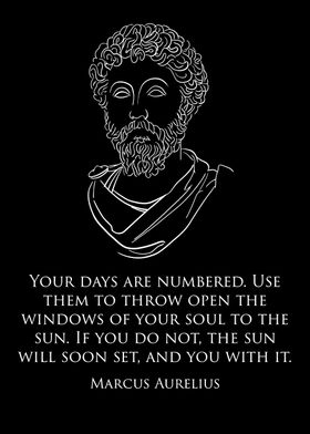 Marcus Aurelius Quote