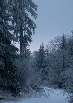 Twilight Snowfall