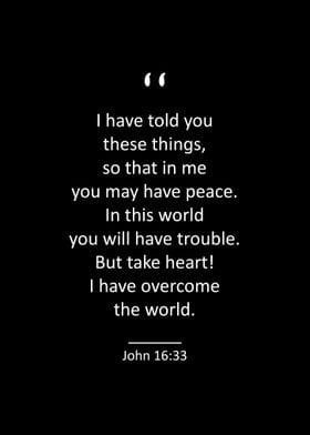 John 16 33