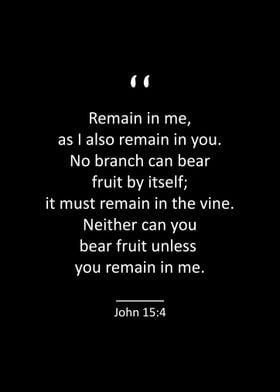 John 15 4