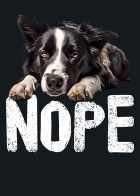 Border Collie Nope