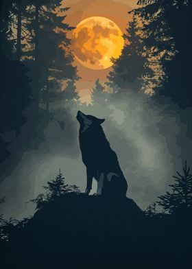 Wolf Animal Sunset