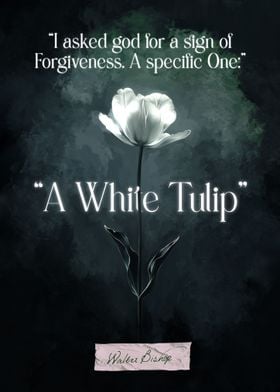 Fringe The White Tulip