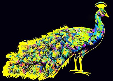 Peacock pop art 