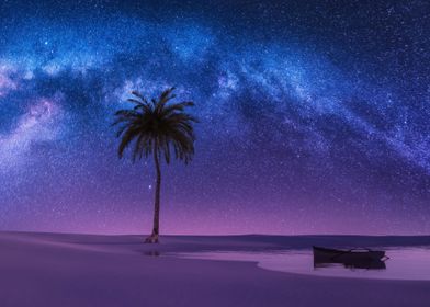 Milky Way Nights cape Palm