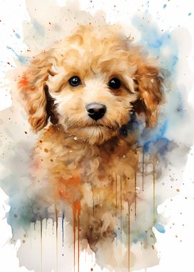 Puppy Poodle in Watercolor