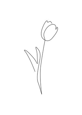 Tulip flower line art